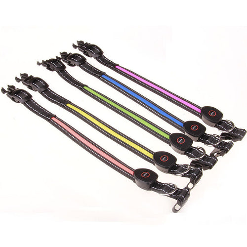 USB Rechargeable LED Dog Collar (Peach Shape)