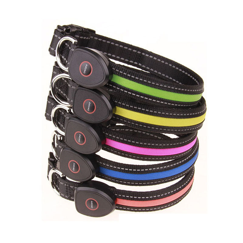 USB Rechargeable LED Dog Collar (Peach Shape)
